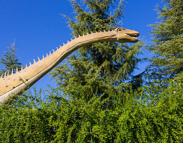 istock quiet giant herbivorous dinosaur Diplodocus 531361703