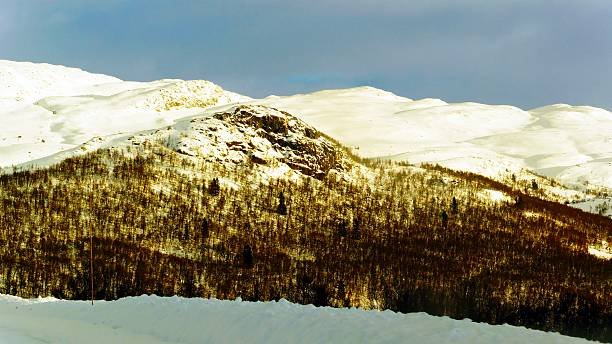 istock Wooded low mountains covered with snow 531363217
