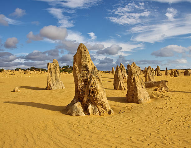 istock Pinnacles Desert, Western Australia 531363937