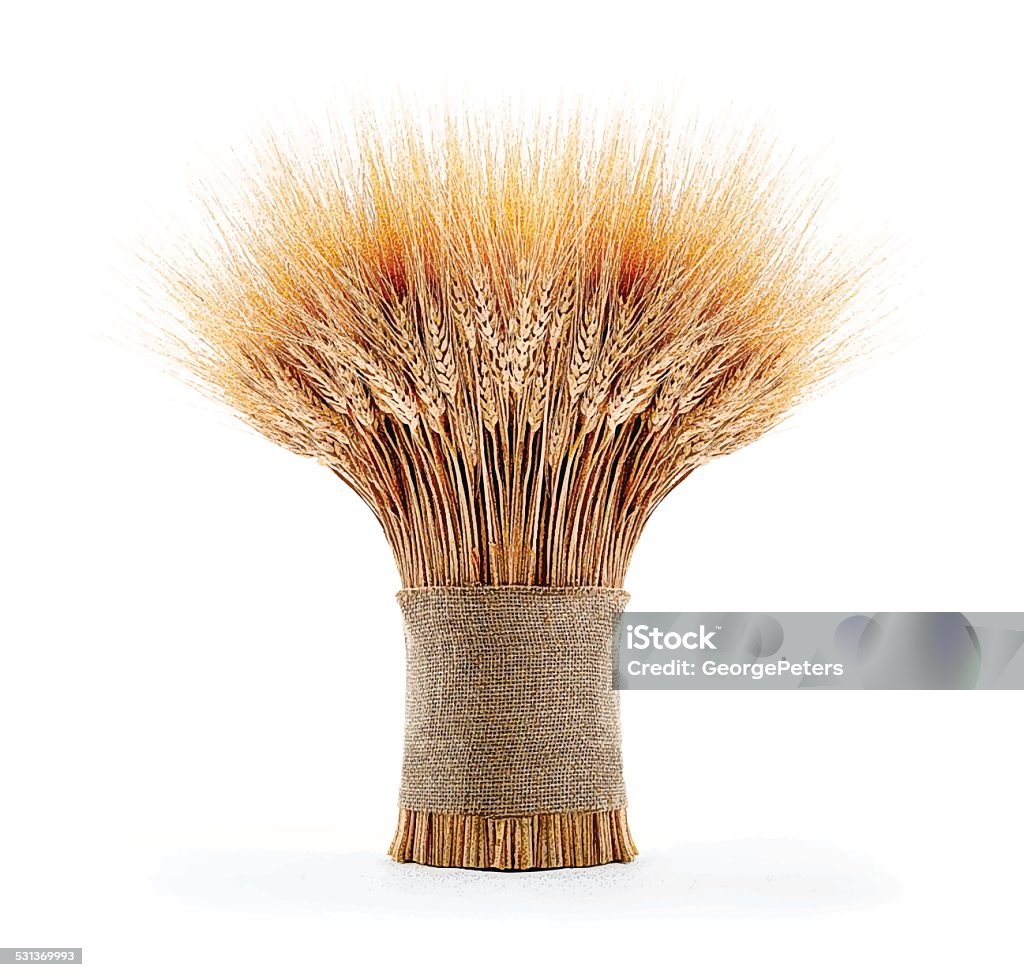 Sheaf Of Wheat Color Mezzotint illustration of a beautiful wheat bundle Wheat stock vector