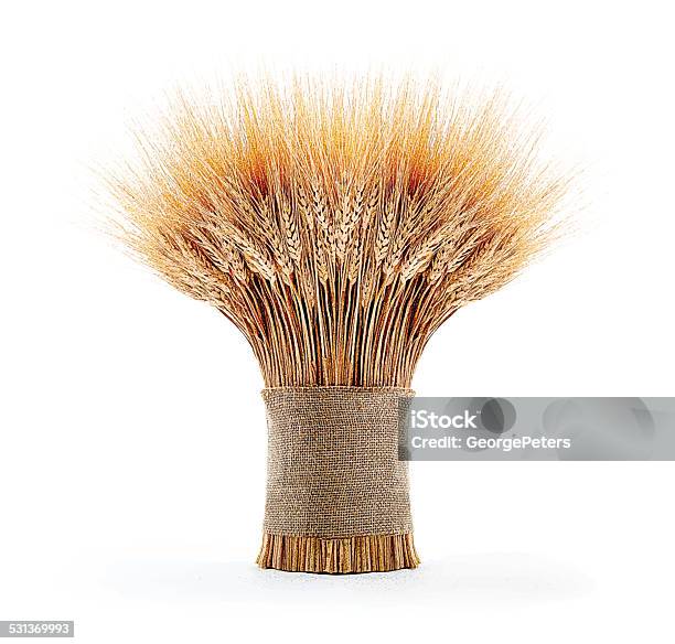 Sheaf Of Wheat Stock Illustration - Download Image Now - Wheat, Bunch, Oat - Crop