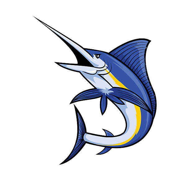 ilustrações de stock, clip art, desenhos animados e ícones de peixe marlin - marlin sailfish nature saltwater fish