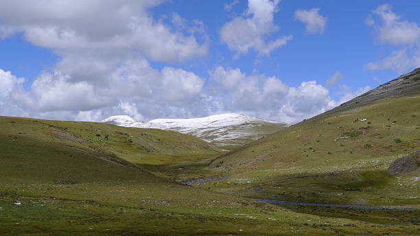 istock High mountain grasslands and on Tibetan Plateau 531374413