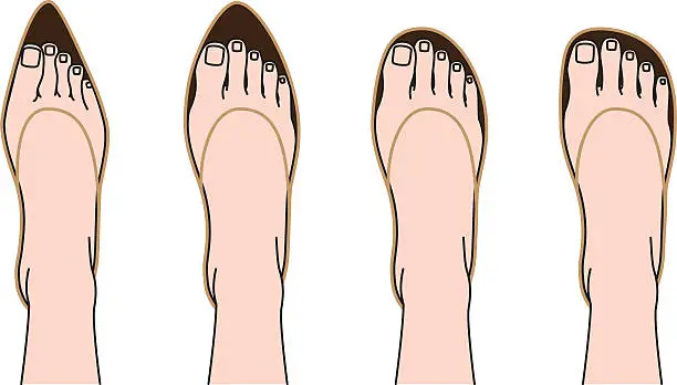 Vector illustration of Shoes of shape and feet