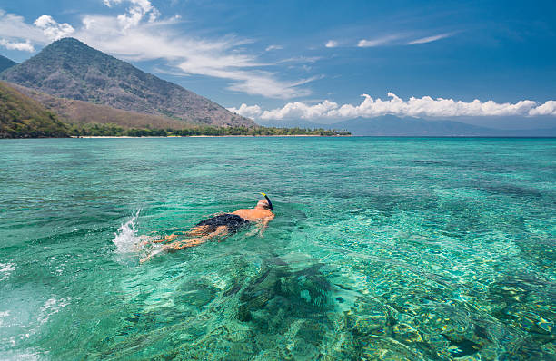 uomo di snorkeling in acque cristalline - flores man foto e immagini stock