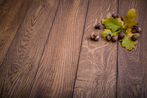 colorful autumn leaves with acorns on wooden background