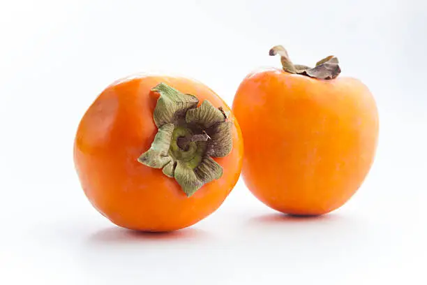 Two Japanese Fuyu Persimmons on white background
