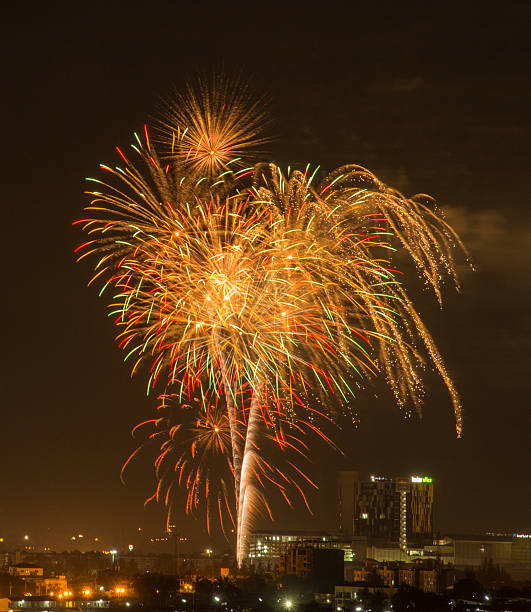 istock Colorful fireworks explosion in the dark sky 531383401