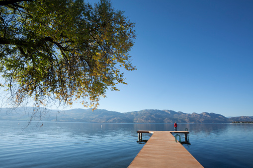 Early morning first light, hitting  a dock at Kelowna, British Columbia, Man standing at the end of a pier. Enjoying the view.