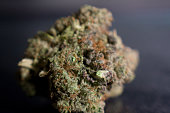 primus-og-medical-haschisch.jpg?b=1&s=170x170&k=20&c=y02gzLML8MJS1Q1X6GvhemzIiUDCVNGmcE6yZDgpQ4s=