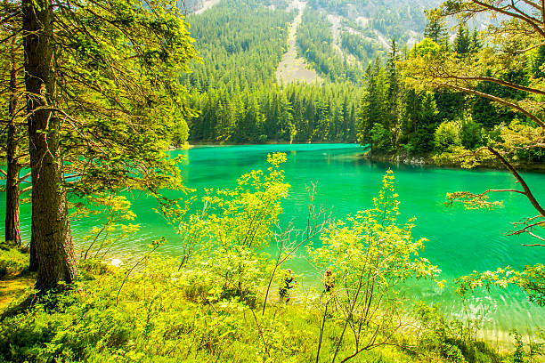 istock Green lake, Tragoess, Styria 531394154