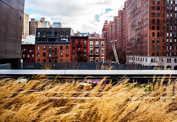 nyc high line winter - high line park stock-fotos und bilder