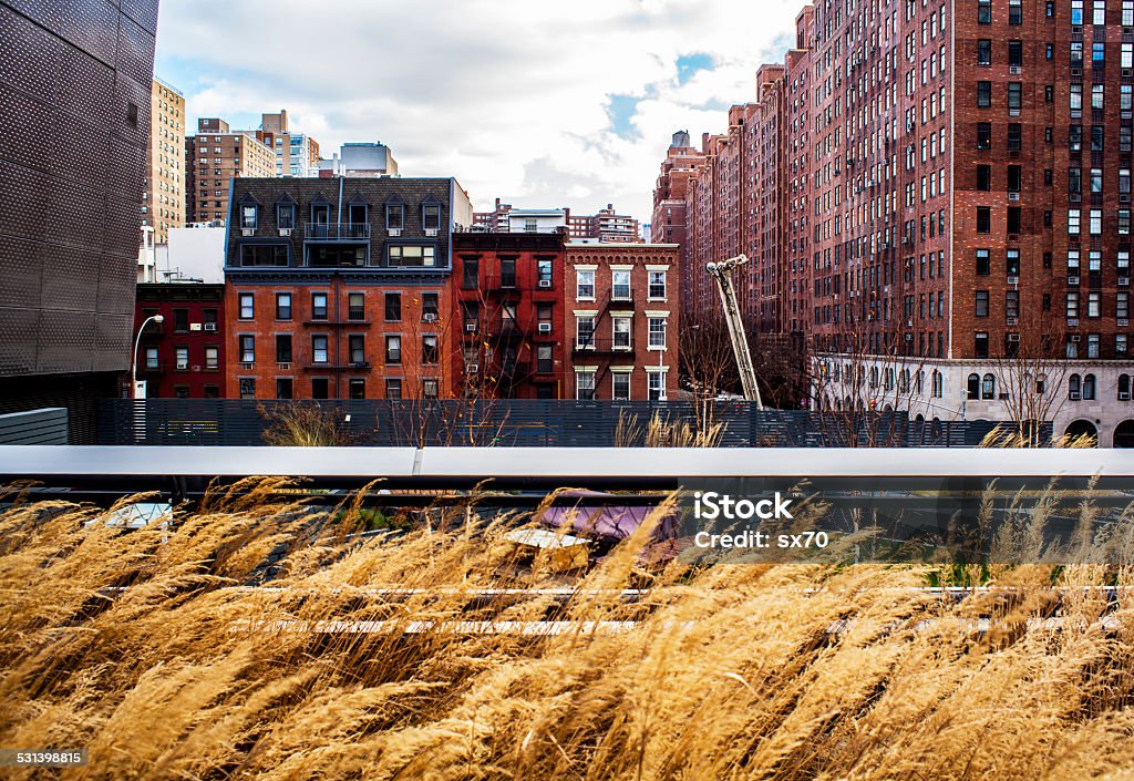 NYC High Line Winter View of NYC tenements and apartments from the High Line. Winter grass blows in the wind. New York City Stock Photo