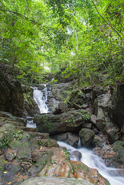 istock Ton Sai waterfall in   Phuket island,Thailand 531399511