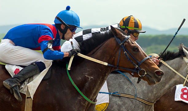 Horse racing in Pyatigorsk Horse race for the prize Sravnenia in Pyatigorsk,Caucasus,Russia. jockey stock pictures, royalty-free photos & images