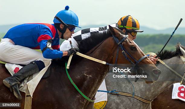Horse Racing In Pyatigorsk Stock Photo - Download Image Now - Horseracing Track, Jockey, Racehorse