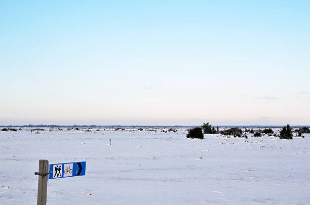 winter horizon against a blue sky and bright sun, white snow