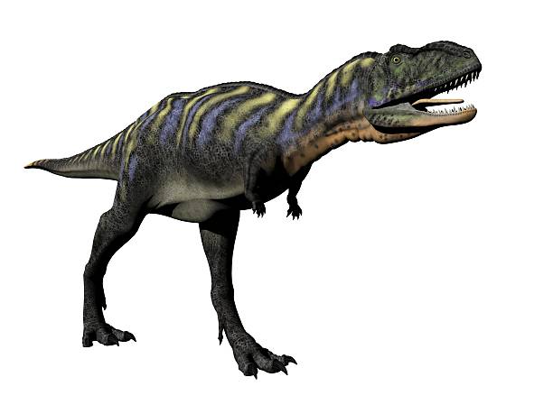 Aucasaurus 70+ Aucasaurus Stock Photos, Pictures & Royalty-Free Images - iStock