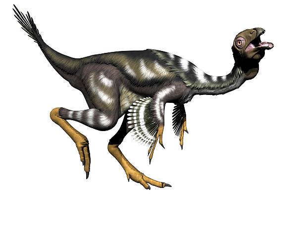 caudipteryx dinosaur - 3d render stock photo