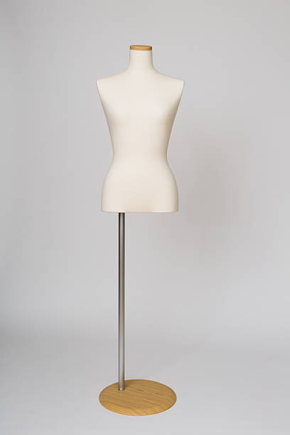 istock Body for dressmaking 531401060