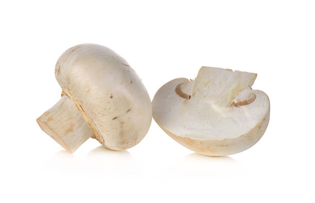 istock Champignon mushroom on white background 531401226