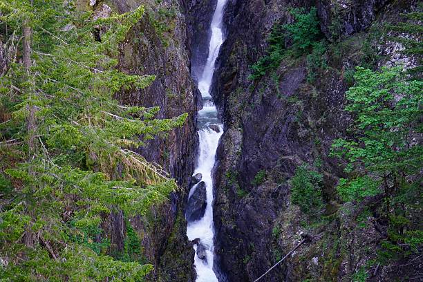 istock North Cascades Creek 531402268