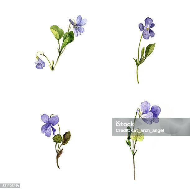 Watercolor Blue Wild Flowers Stock Illustration - Download Image Now - Agricultural Field, Animals In The Wild, Blue