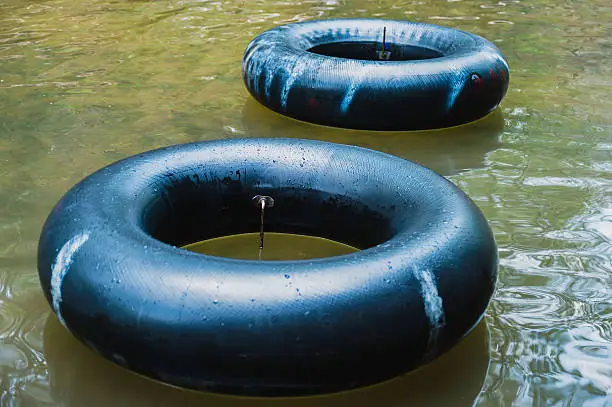 Photo of Old inner tubes floating on a river