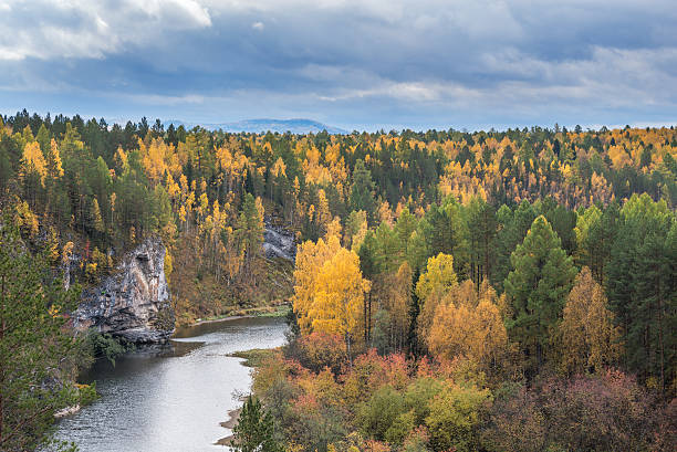 istock paint of autumn forest 531406156