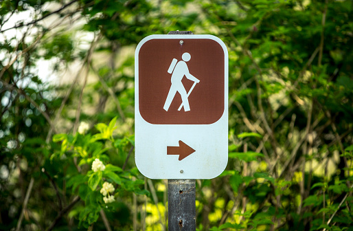 A close up of a directional hiking sign on a nature trail. The sign is white and brown and has the figure of a hiker and an arrow on it. The sign is posted in front of a forest background (stock image).