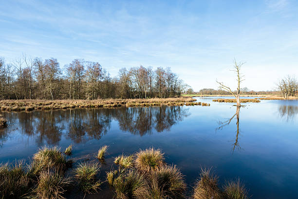 istock Lake De Witt in awesome winter mood 531413842