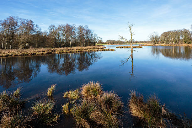 istock Lake De Witt with tranquil water 531413930