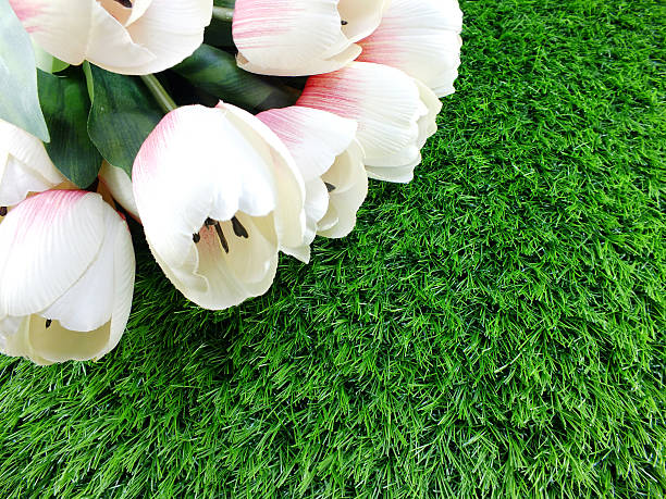 istock tulip artificial flower on a green grass space for text 531414736