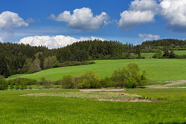 istock Beautiful summer rural landscape 531414738
