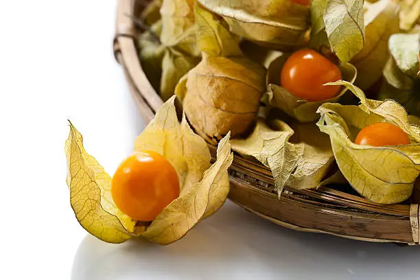 Physalis isolated on a white reflexive background