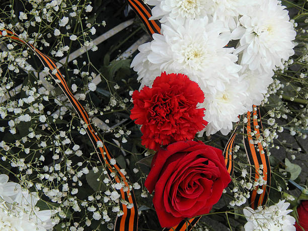 istock flowers with St. George ribbon closeup 531417432