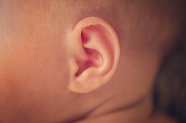 istock Small delicate little ear of newborn 531417433