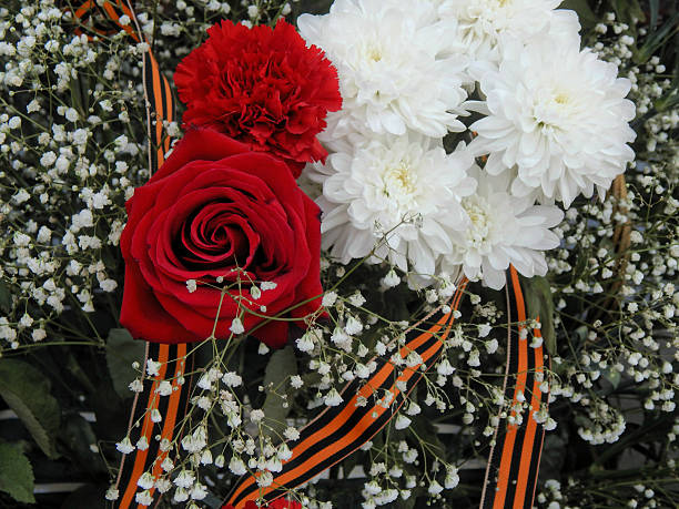 istock flowers with St. George ribbon closeup 531417478