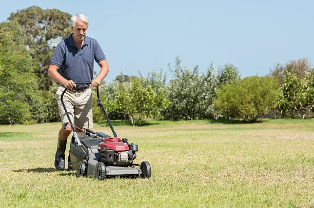 Photo of Senior gardener mowing