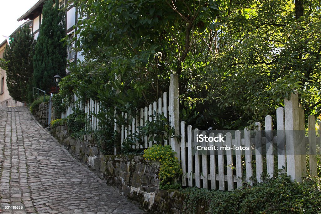 Lane with garden fence Alley Stock Photo