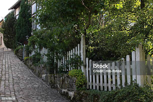 Lane With Garden Fence Stock Photo - Download Image Now - Alley, Fence, Footpath