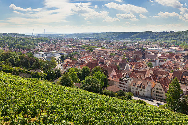 istock Beautiful geman city and wine fields 531419307