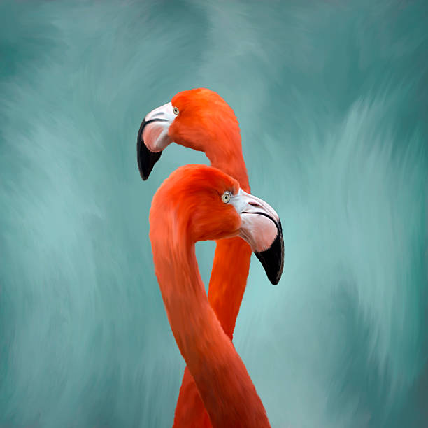 Flamingos Painting stock photo