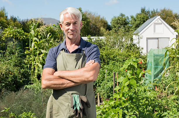 soddisfazione del contadino in giardino - planting clothing gray hair human age foto e immagini stock