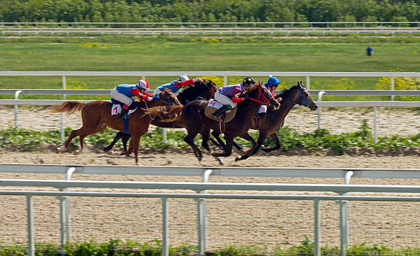 corrida de cavalos em pyatigorsk - flat racing - fotografias e filmes do acervo