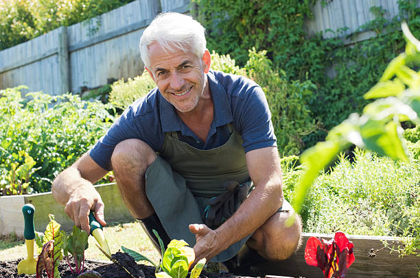 starszy człowiek sadzenia - planting clothing gray hair human age zdjęcia i obrazy z banku zdjęć