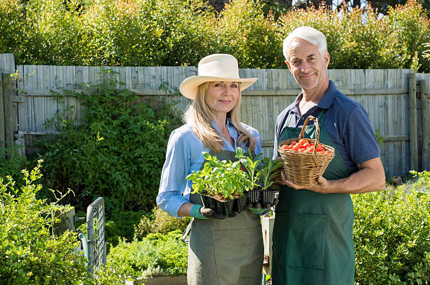 istock Couple in vegetable garden 531420242