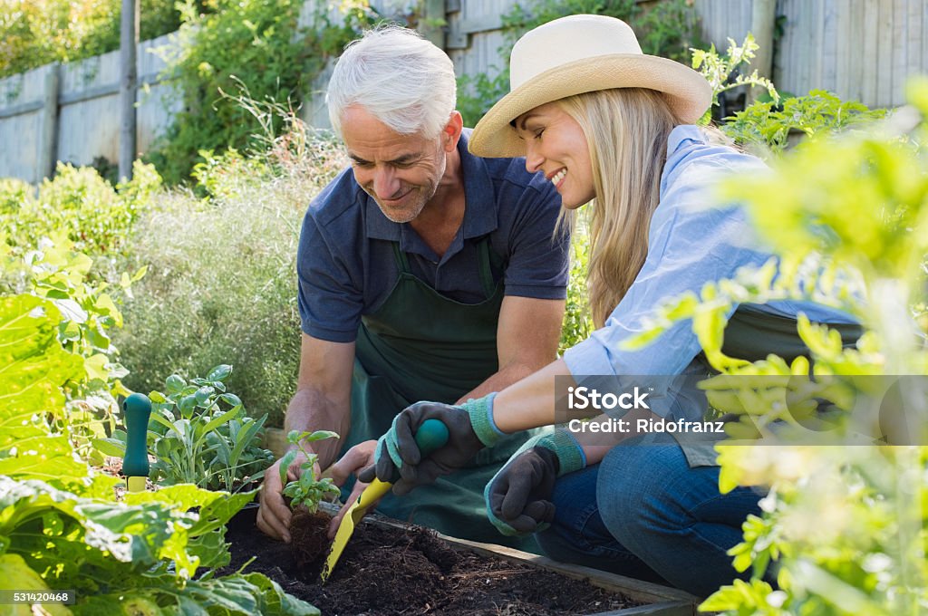 couple de personnes âgées jardinage - Photo de Jardiner libre de droits