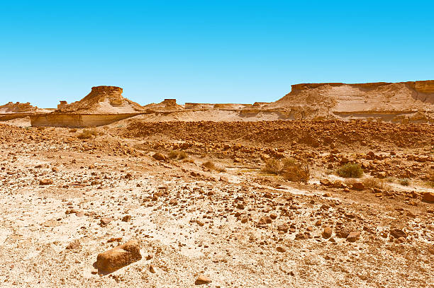 istock Desert in Israel 531421786