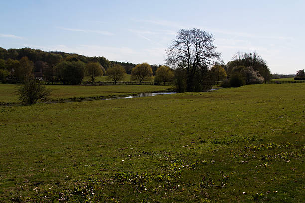 istock Stream flowing through a field in the Chilterns 531422160